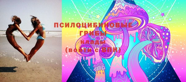 крисы Новокубанск